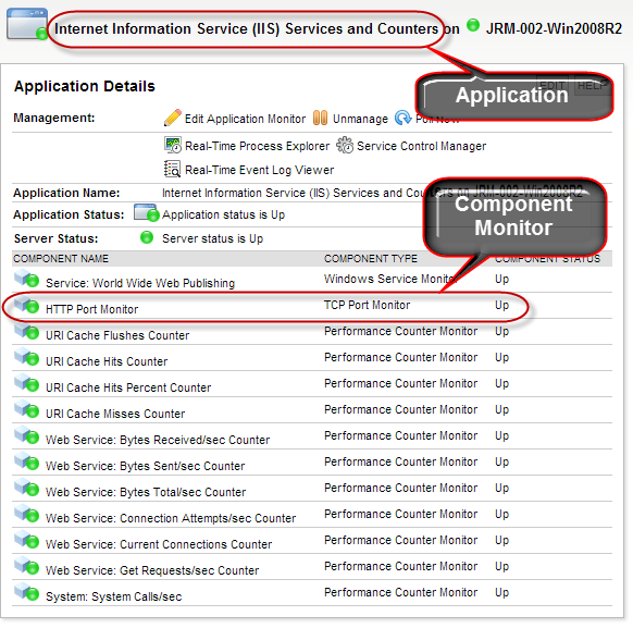 Application v Component Monitor.png